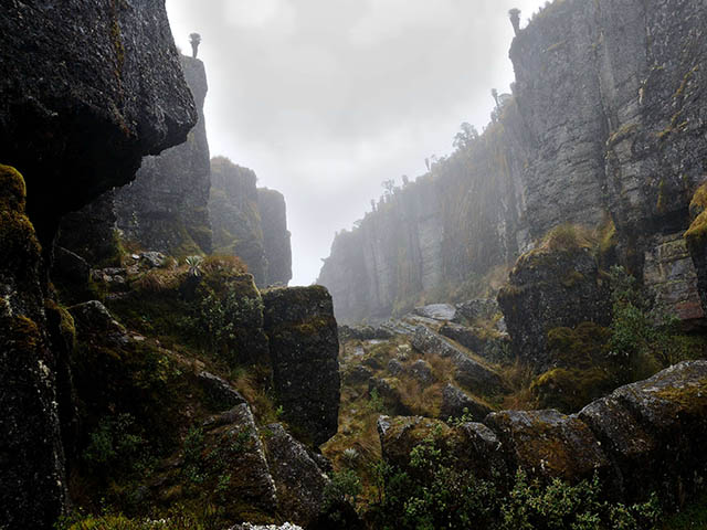 Ocetá Páramo and Laguna Negra